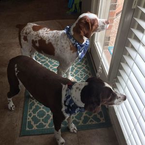 Meet your Posher, Melanie